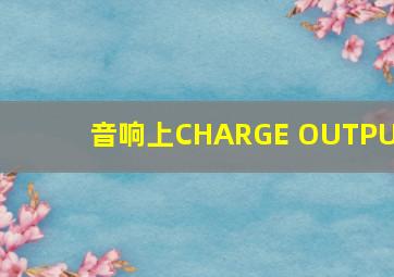 音响上CHARGE OUTPUT